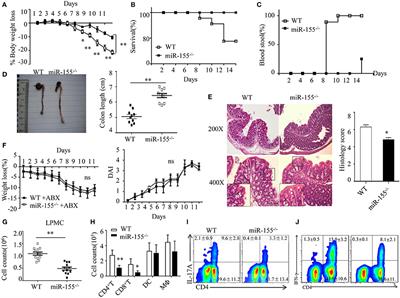 Corrigendum: Critical Role of Alternative M2 Skewing in miR-155 Deletion-Mediated Protection of Colitis